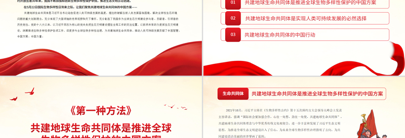 党政风共建地球生命共同体为全球生物多样性保护贡献中国方案PPT专题