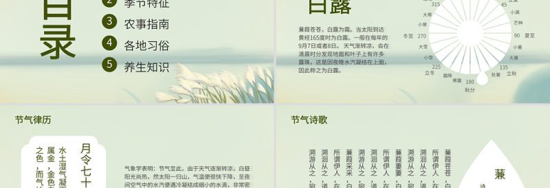 2021白露节气PPT清新简雅二十四节气中国传统文化主题班会课件