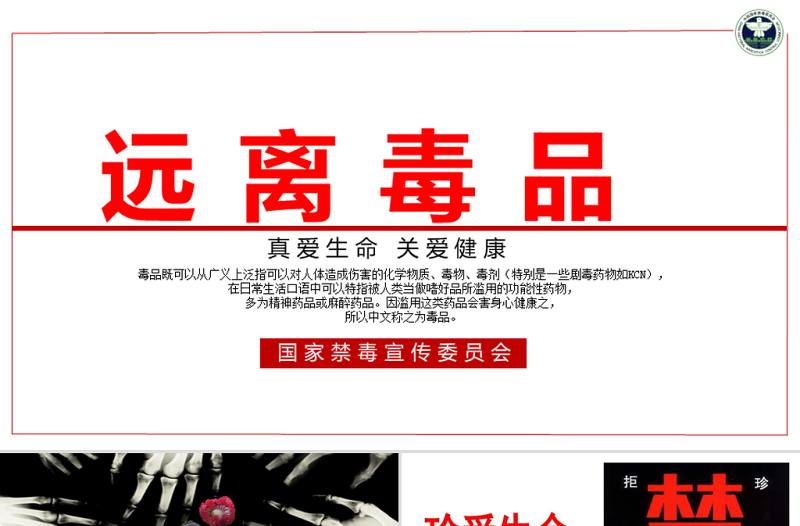 【完整内容】国际禁毒日珍爱生命远离毒品禁毒知识教育PPT模板