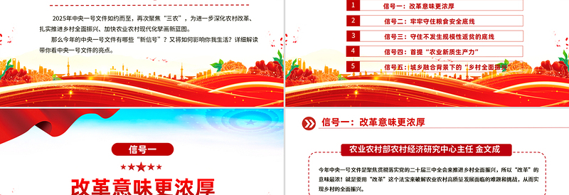 2025中央一号文件释放了哪些新信号PPT党课PPT