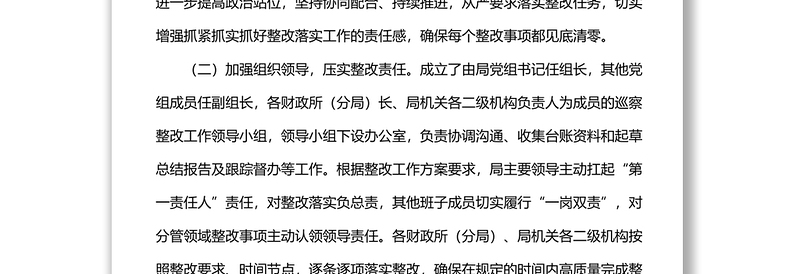 巡察整改进展情况工作报告(局机关)