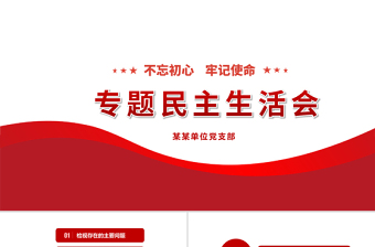 党课讲话材料ppt