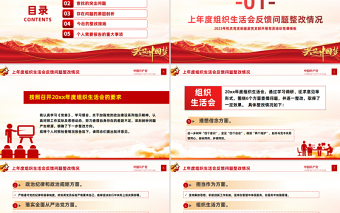 2023组织生活会个人发言材料PPT简约风组织生活会个人发言材料专题党课PPT模板下载