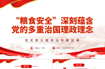 扫黑除恶主题党日ppt
