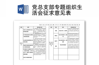 村党总支书记上党课PPT