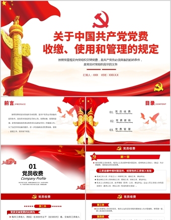2021中国共产党党费收缴使用和管理的规定政府党政工作PPT模板
