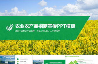 史上最牛的政府招商ppt宣传片