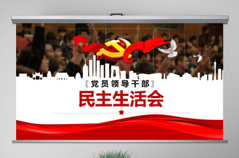 党支部组织生活会工作方案ppt
