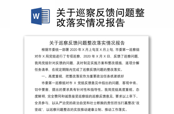 2021关于巡察反馈问题整改落实情况报告