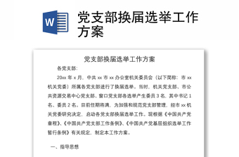党支部换届方案ppt