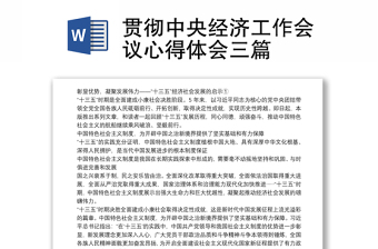 中央经济工作会会议精神ppt