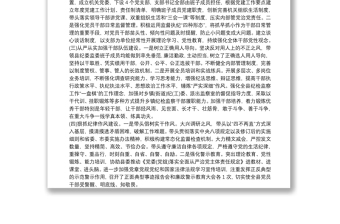 纪委书记履行全面从严治党责任落实“一岗双责”情况汇报