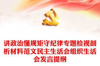 讲政治懂规矩守纪律党课ppt