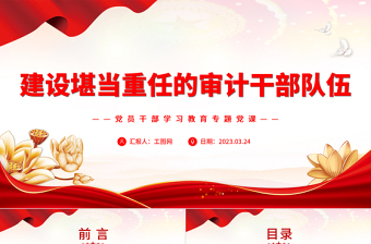 审计干部上党课课件ppt