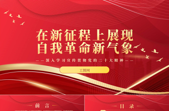 2023在新征程上展现自我革命新气象PPT大气党政风深入学习宣传贯彻党的二十大精神专题党课课件