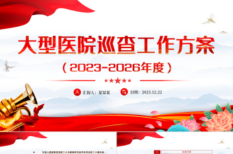 聚焦《大型医院巡查工作方案》PPT简洁公立医院党建行业作风建设运行管理课件