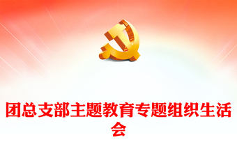 团会组织生活会ppt