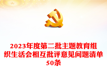 组织生活会相互批评意见问题清单50条PPT红色实用第二批主题教育生活会模板(讲稿)