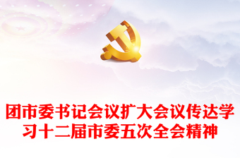 精美党政风2024团市委书记会议扩大会议传达学习十二届市委五次全会精神PPT(讲稿)