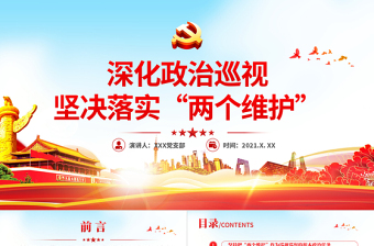 2025两个维护党课大全ppt