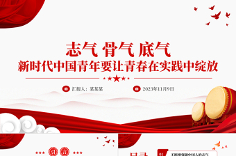 适合青年人讲的党课ppt