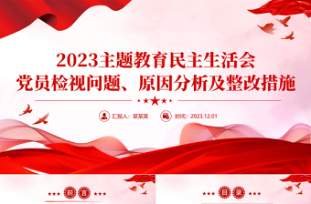 2023主题教育民主生活会PPT精美党政风党员干部开展自检自查及整改措施党课PPT