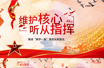 微党课ppt  维护核心
