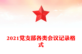 2021党支部各类会议记录格式