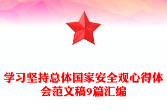 坚持总体国家安全观讲党课ppt