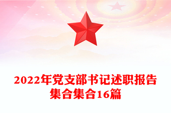 学生党支部书记述职报告ppt