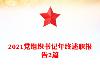 党组织书记述职报告ppt