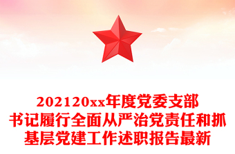 全面从严治党述职报告