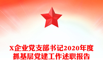 党支部书记抓党建工作述职ppt