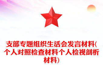 主题教育专题组织生活会ppt