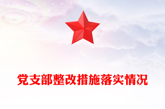 党支部整改措施ppt