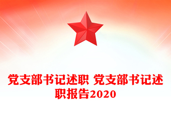 小学党支部书记述职ppt
