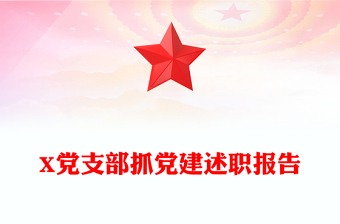 医院党建述职ppt
