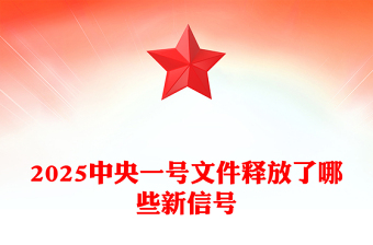 2025中央一号文件释放了哪些新信号PPT党课PPT(讲稿)