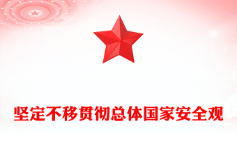 平安中国建设PPT贯彻总体国家安全观把平安中国建设推向更高水平课件(讲稿)