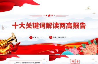 十大关键词解读两高报告PPT党政风优质2025两会专题课件
