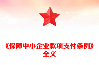 一文读懂2025《保障中小企业款项支付条例》PPT课件(讲稿)