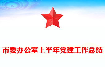 市委办公室上半年党建工作总结PPT模板(讲稿)