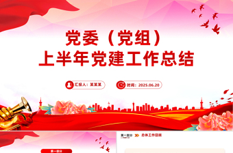 2025党委（党组）上半年党建工作总结PPT模板下载