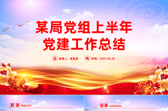2025某局党组上半年党建工作总结PPT模板